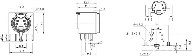 DSW-02-1.jpg