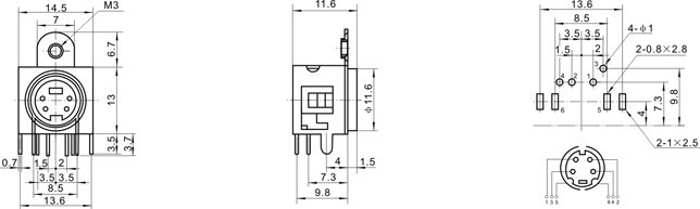 DSW-05-1.jpg