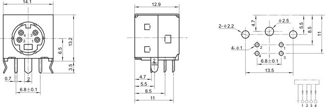 DSW-13-1.jpg